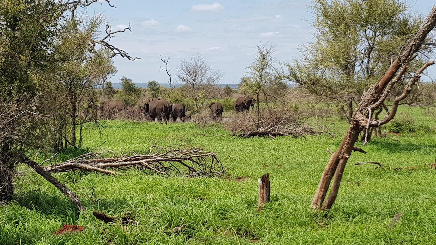  N' wanetsi Picnic Spot