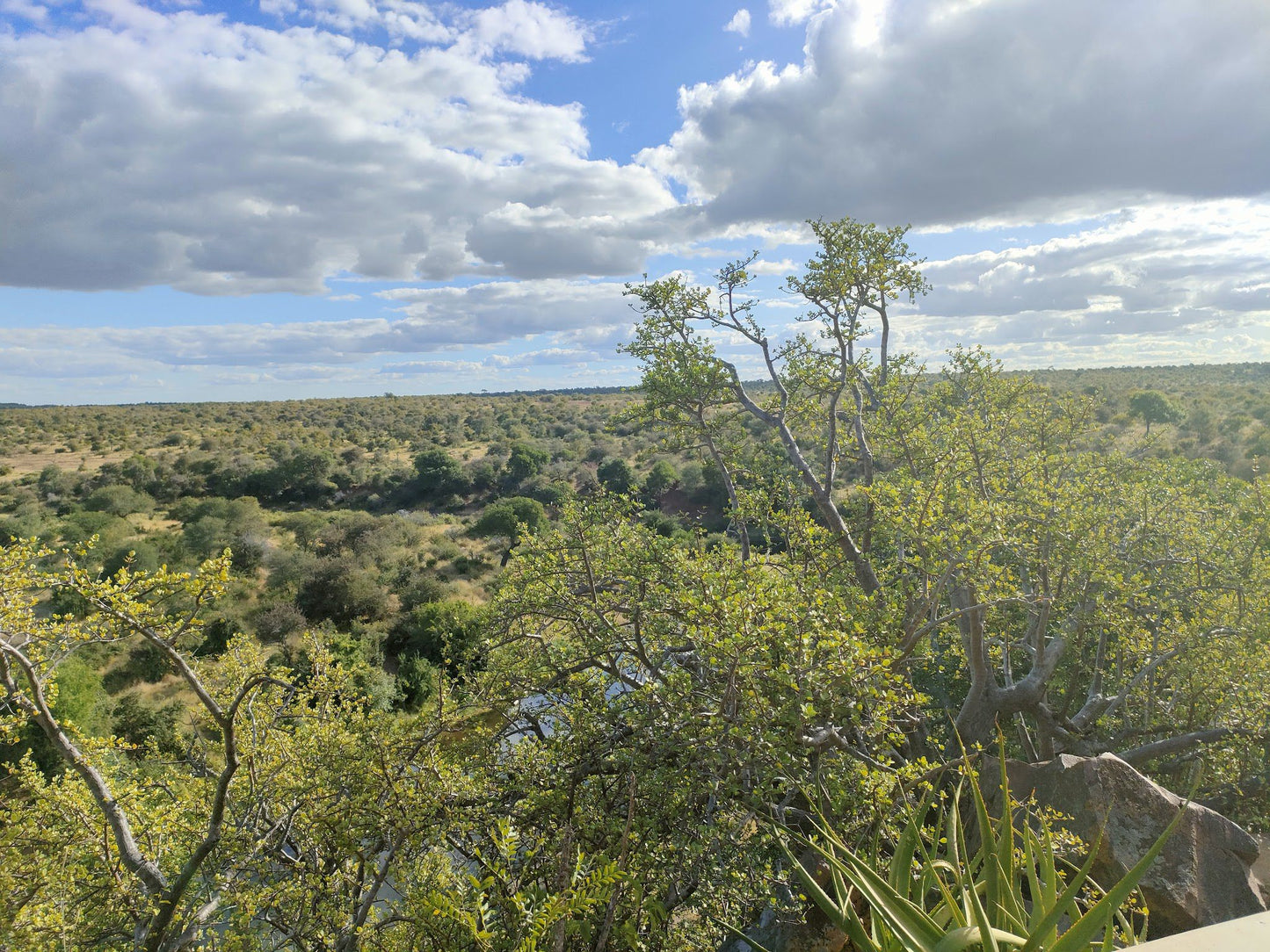  N' wanetsi Picnic Spot