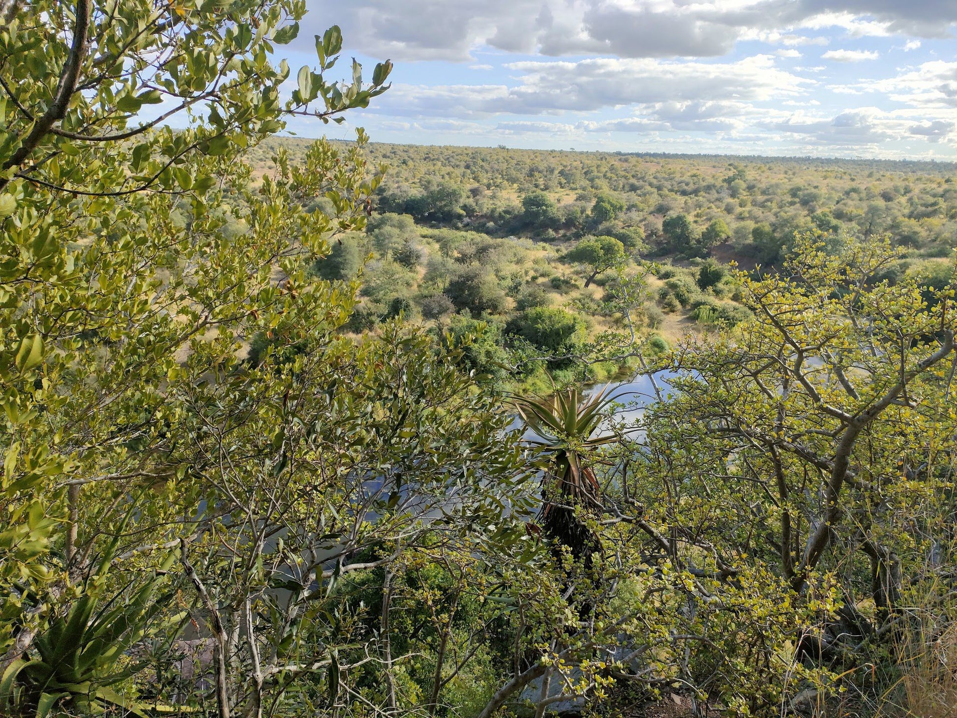  N' wanetsi Picnic Spot