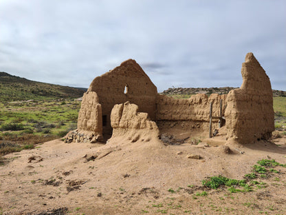  Namaqua Flower Skilpad Camp