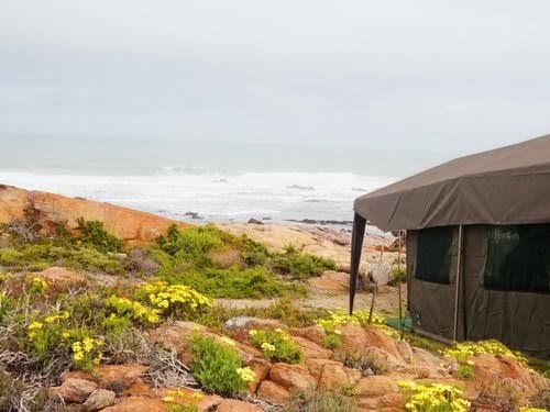  Namaqua Flower Skilpad Camp