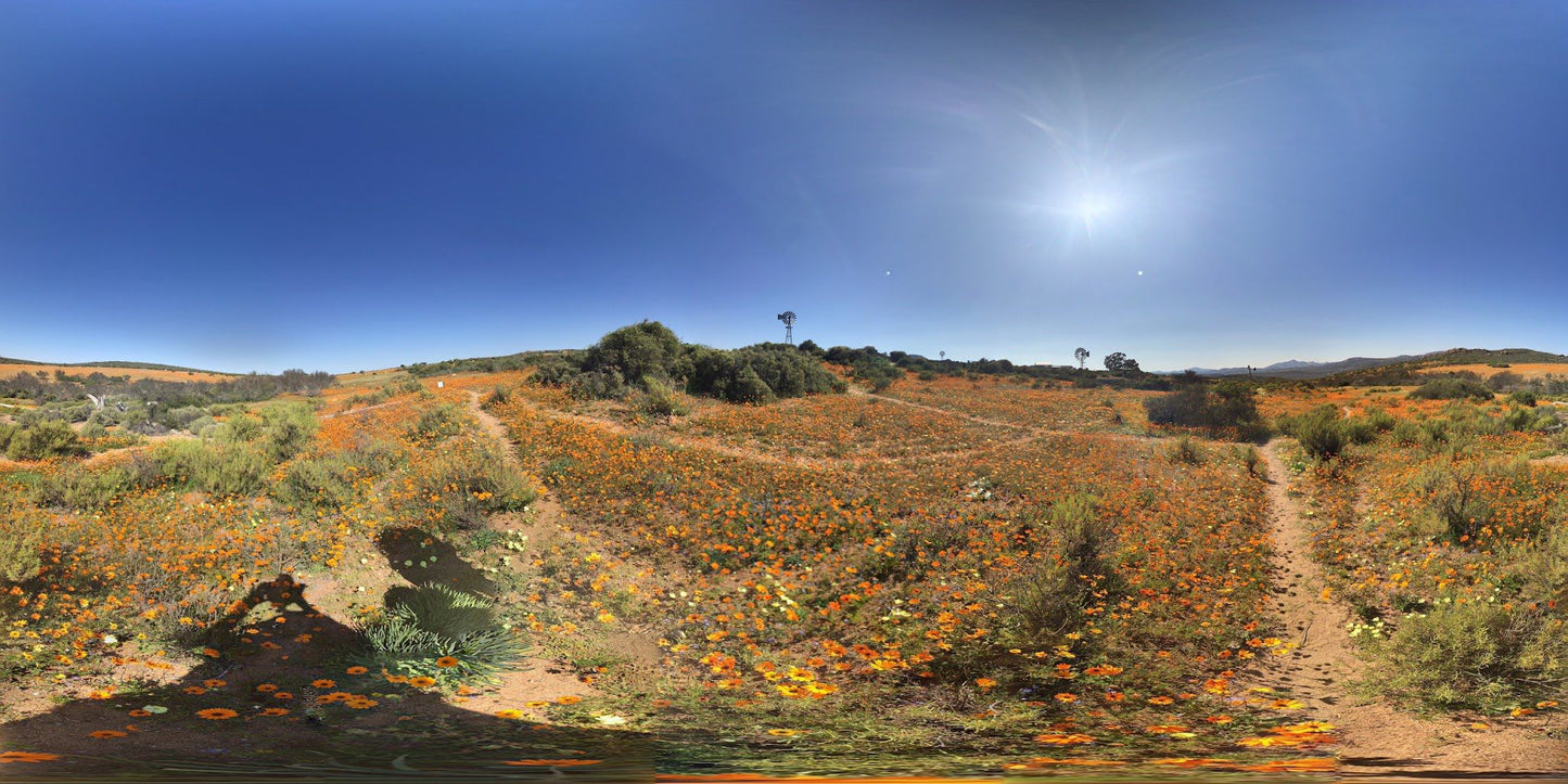  Namaqua Flower Skilpad Camp