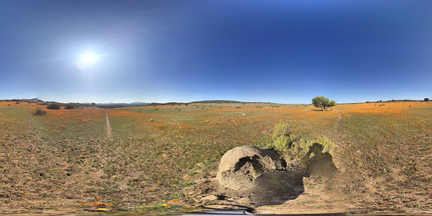  Namaqua Flower Skilpad Camp