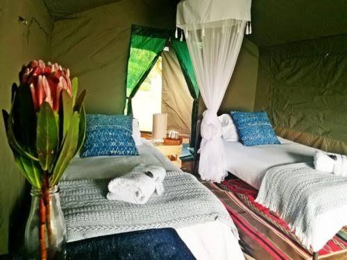  Namaqua Flower Skilpad Camp