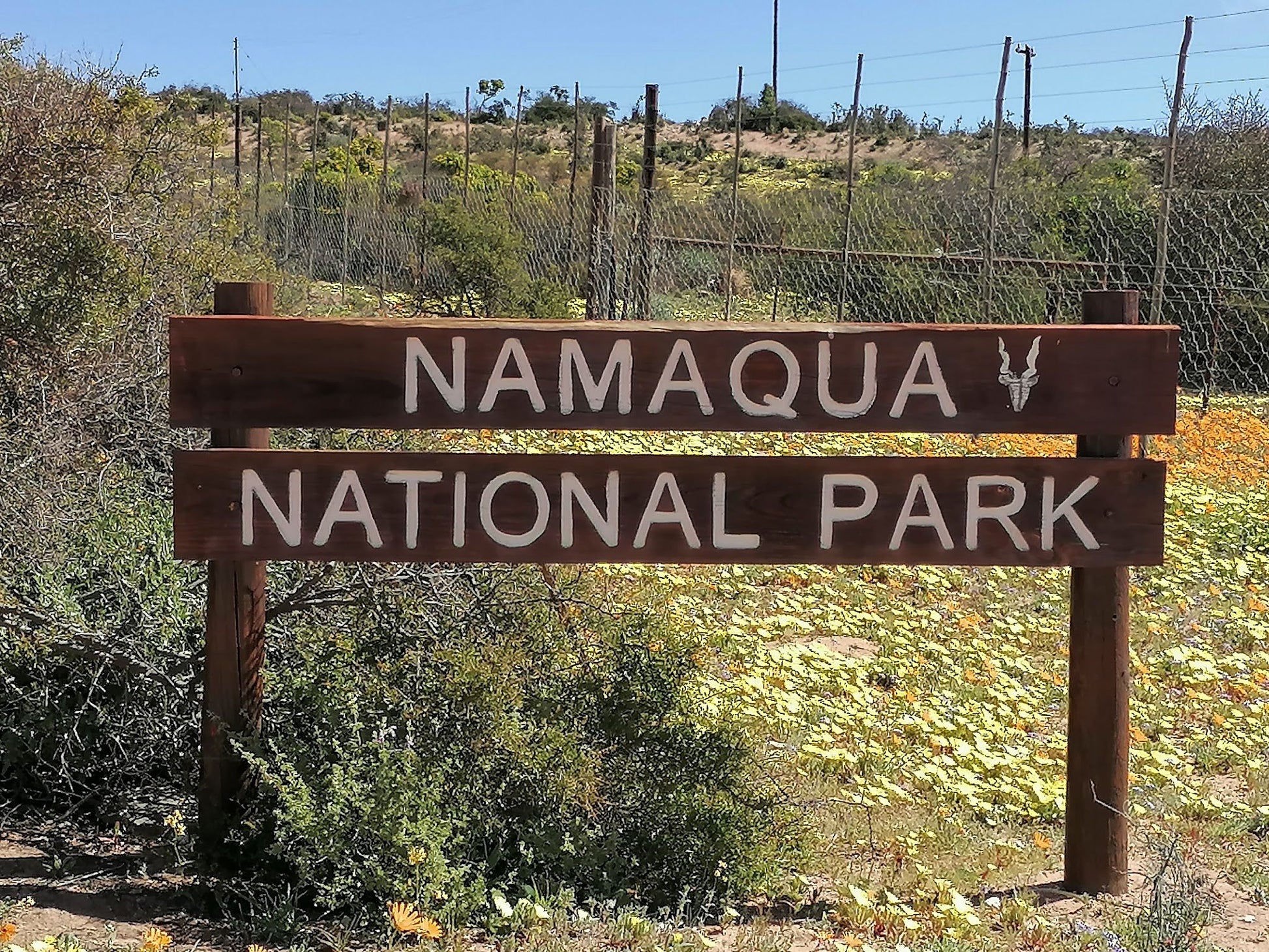  Namaqua Flower Skilpad Camp