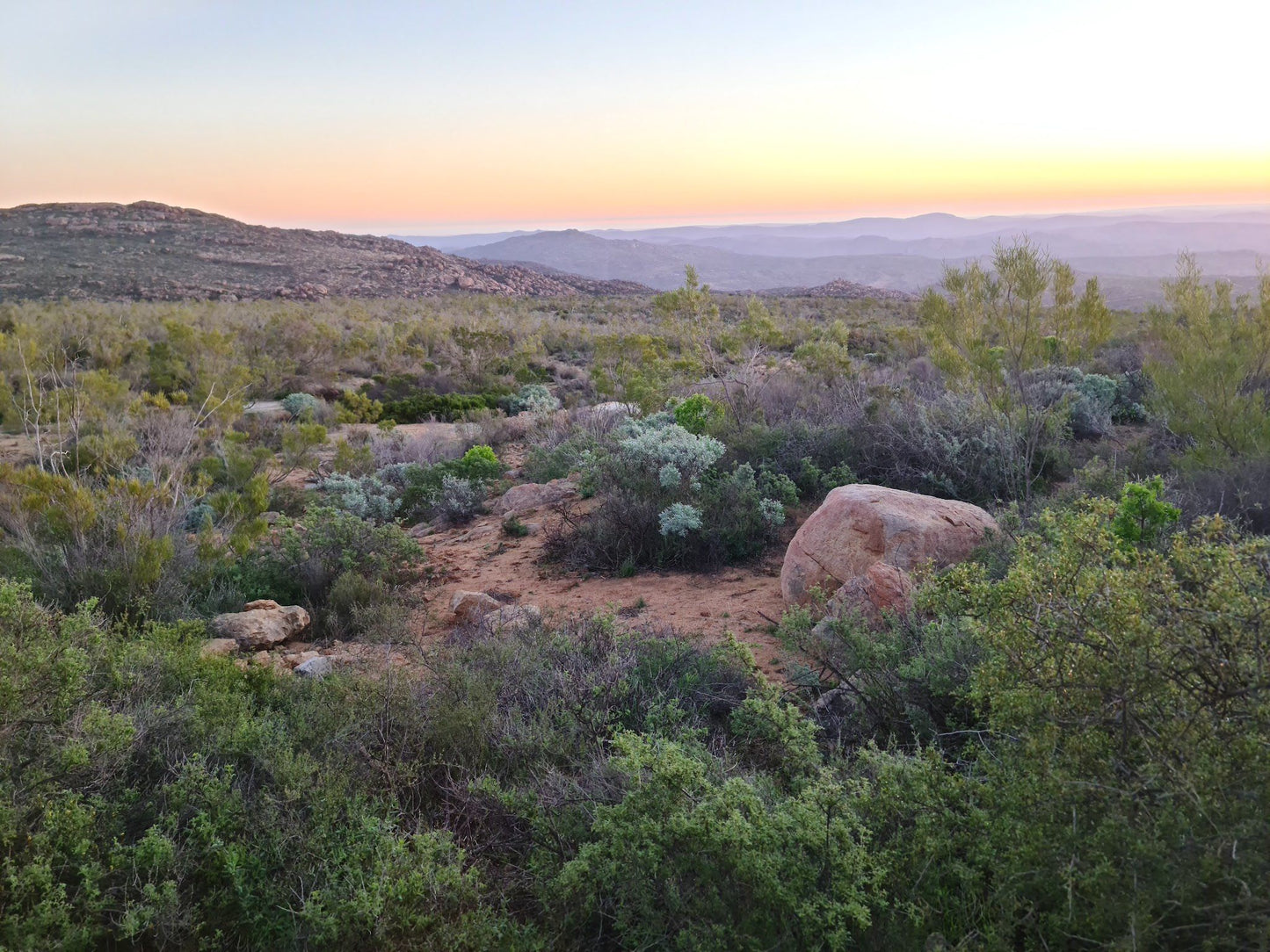  Namaqua Flower Skilpad Camp