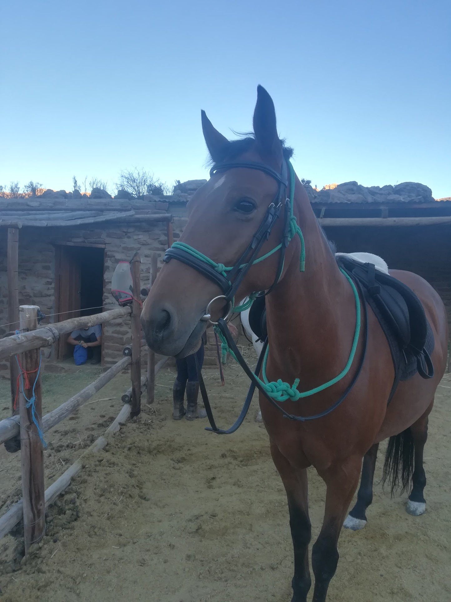  Namaqua Horse Trails