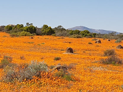  Namaqua National Park