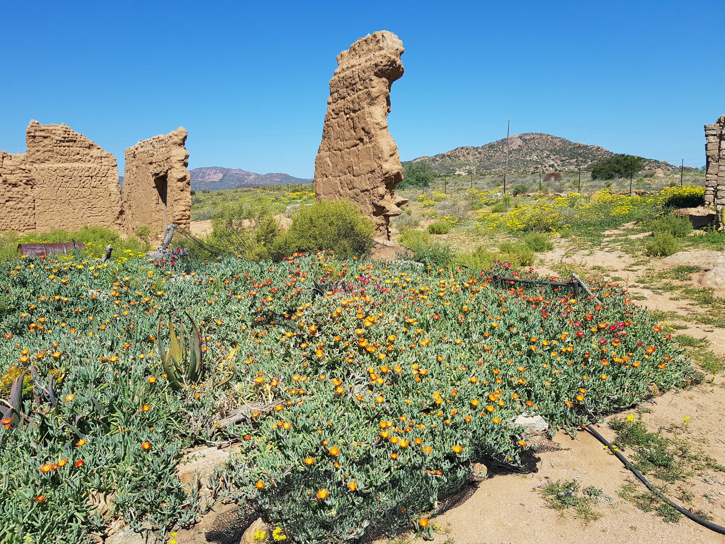  Namaqua National Park