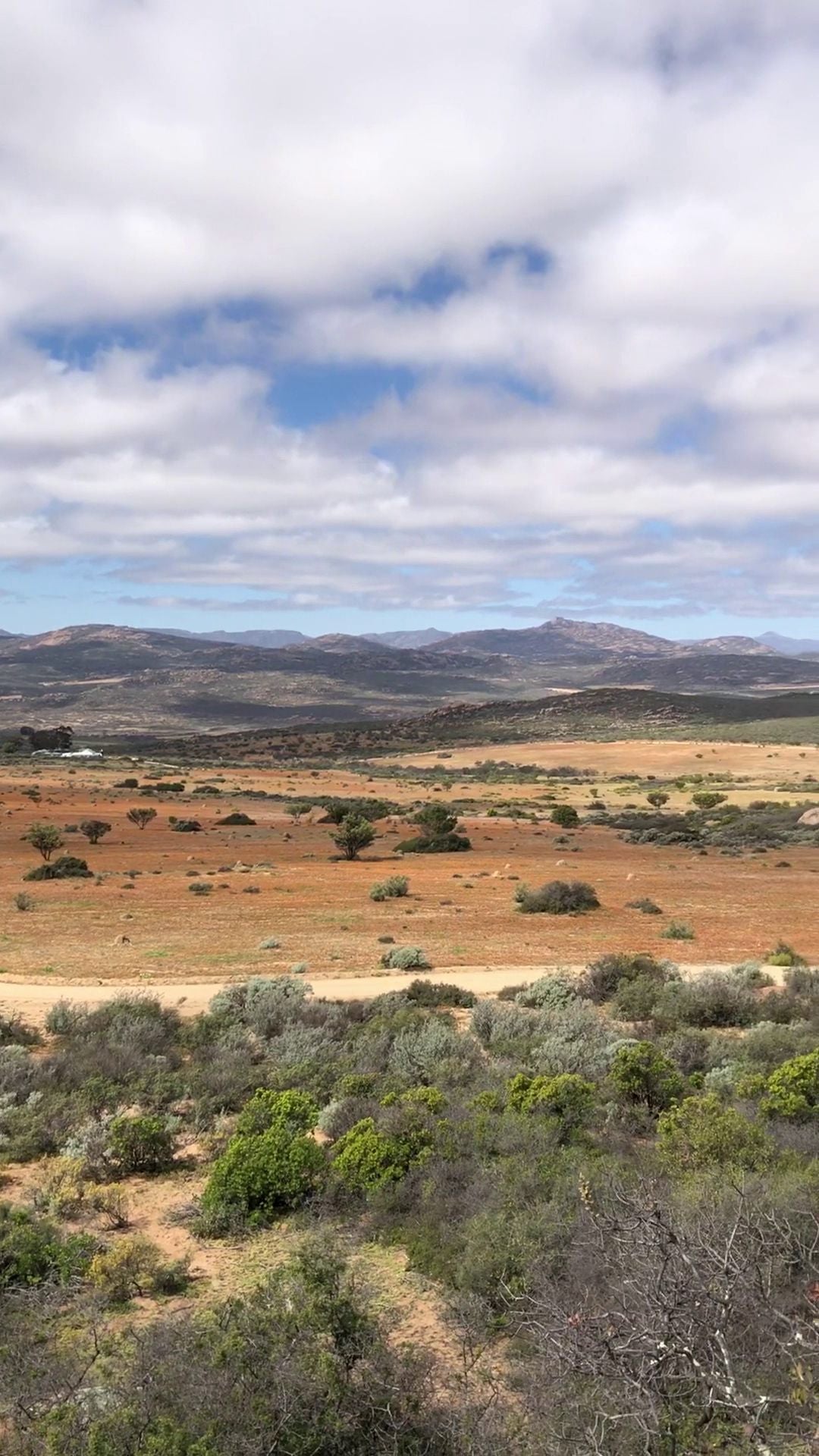  Namaqua National Park