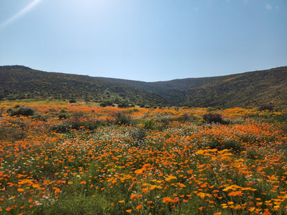  Namaqua National Park