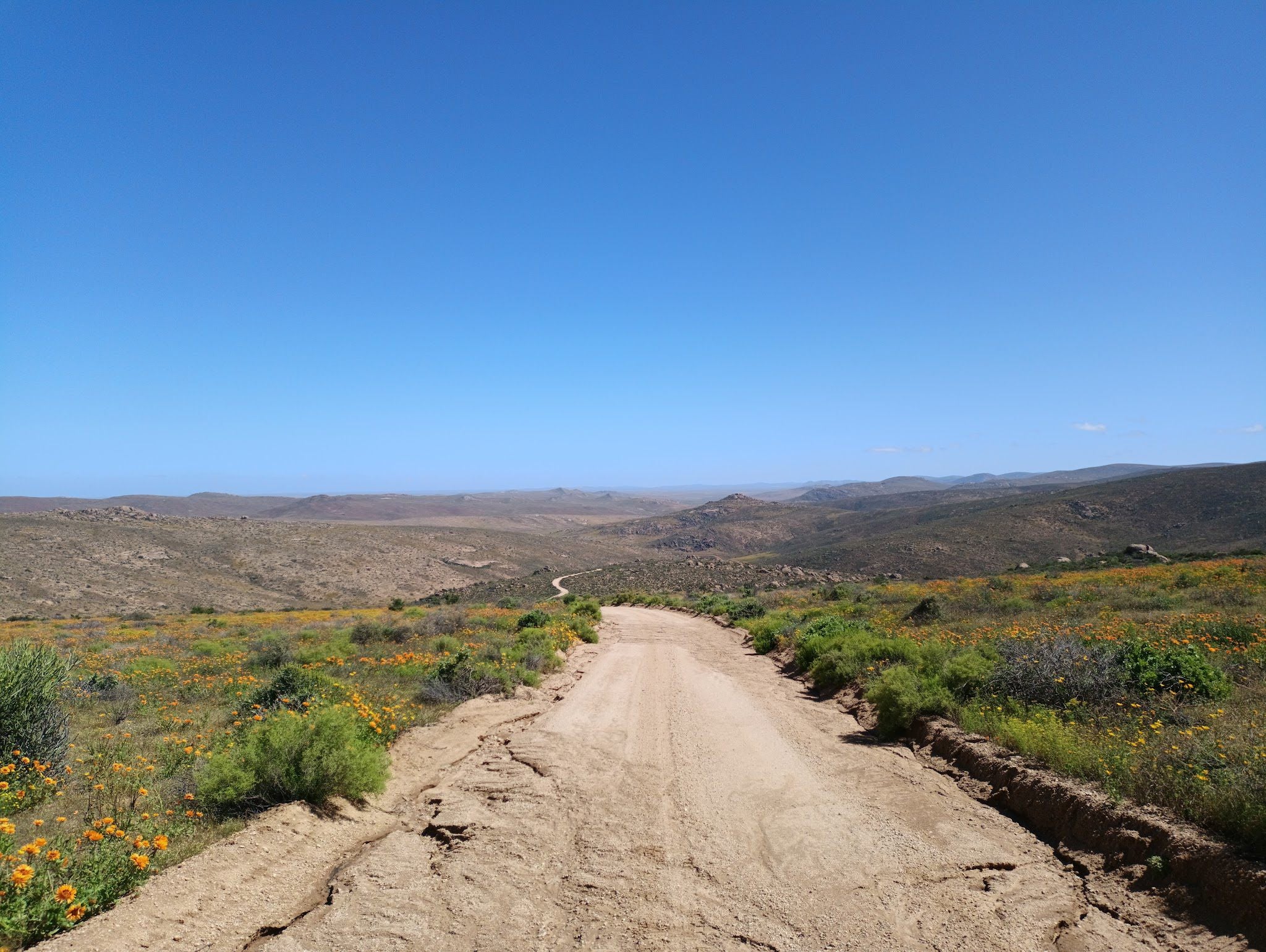  Namaqua National Park