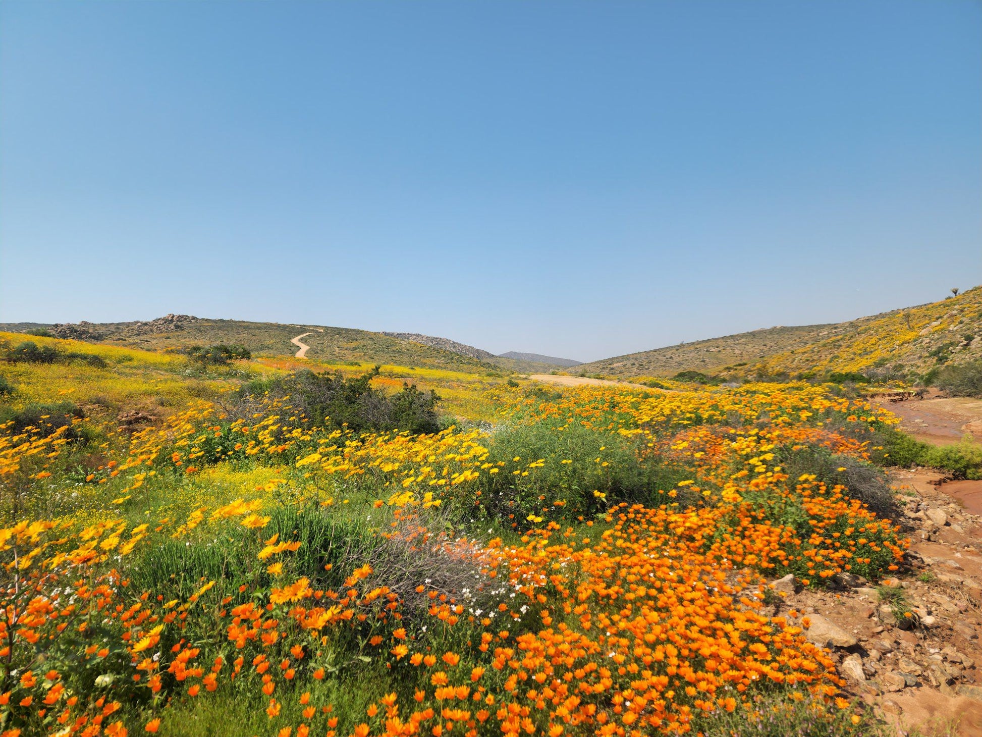  Namaqua National Park