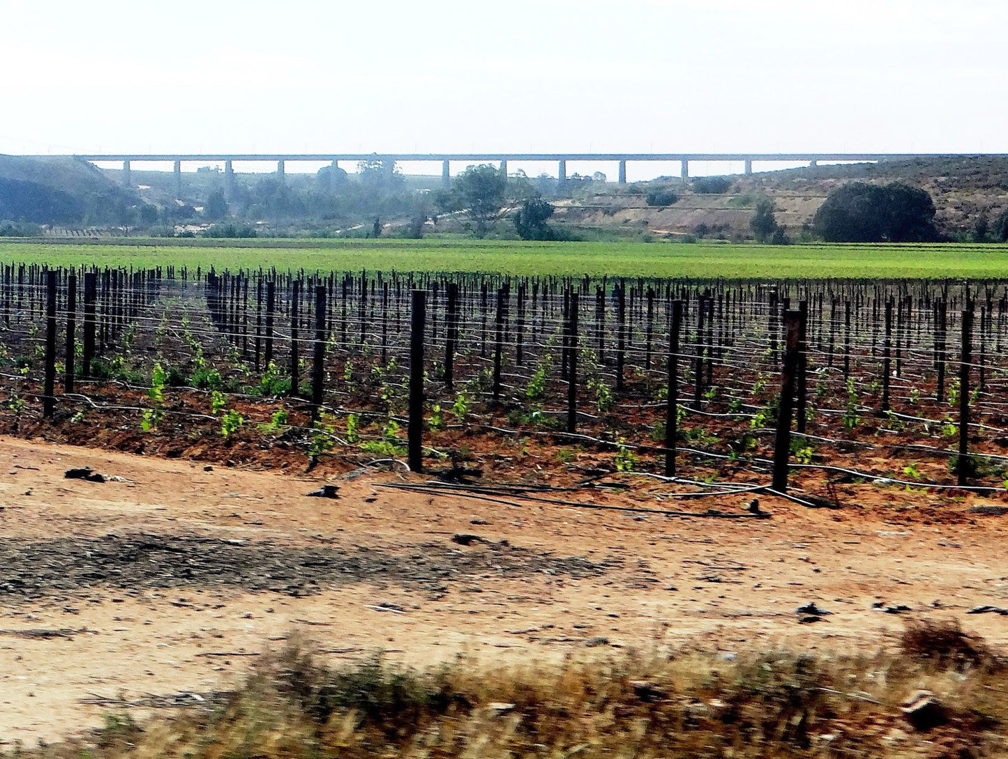  Namaqua Wines