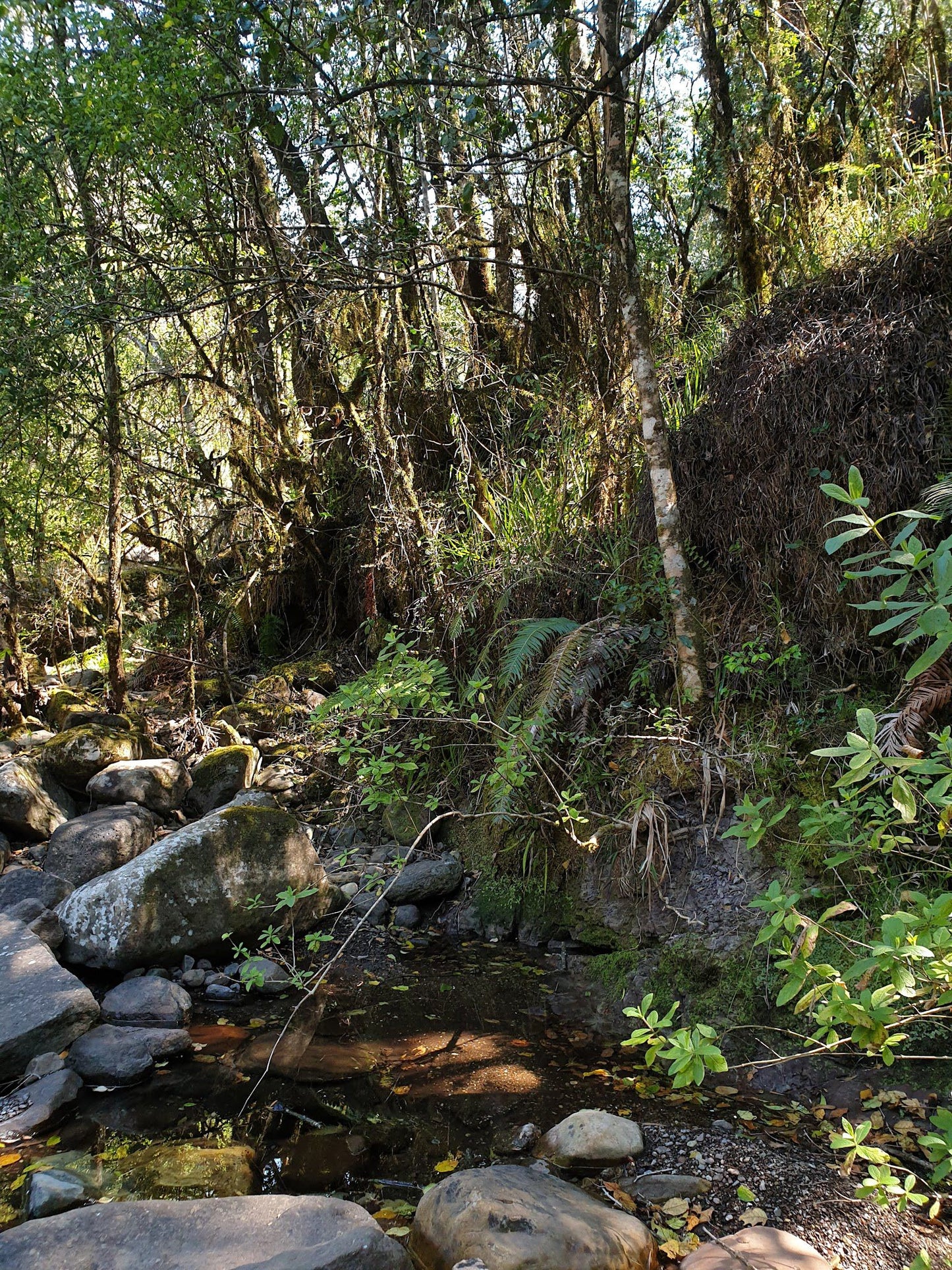 Nandi's Falls