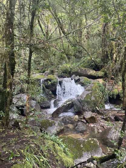 Nandi's Falls