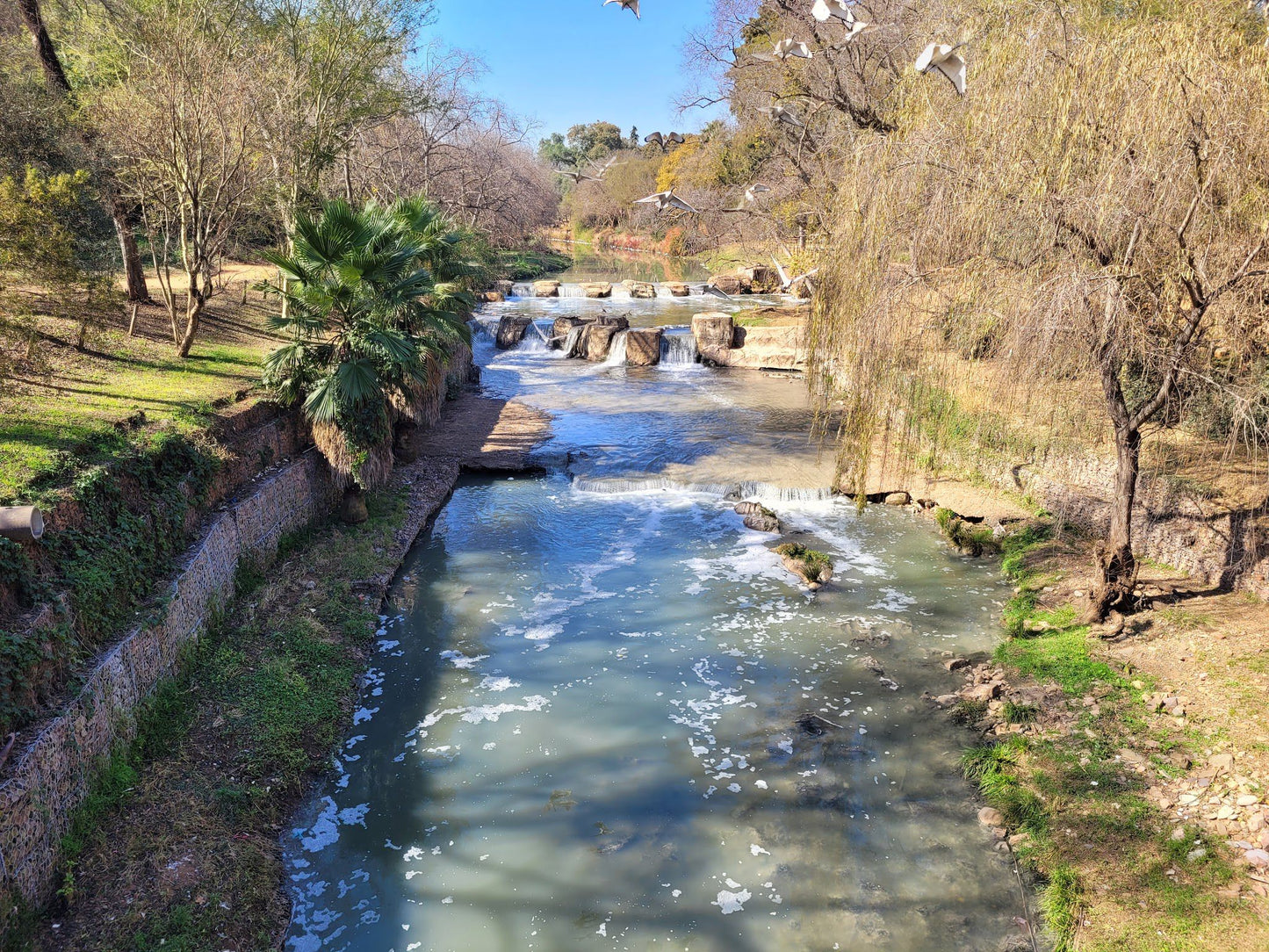  National Zoological Gardens of South Africa