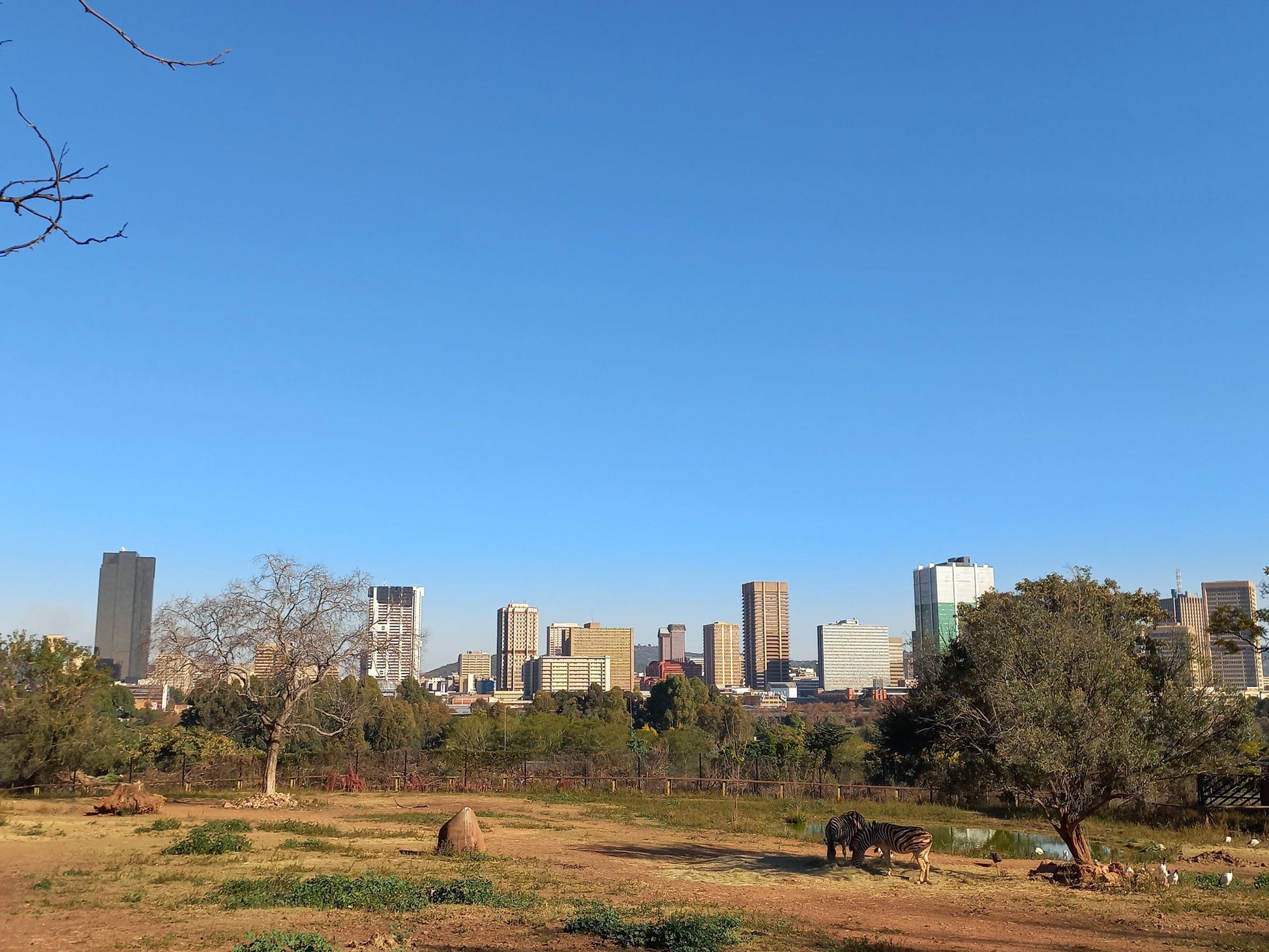  National Zoological Gardens of South Africa