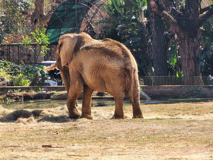  National Zoological Gardens of South Africa