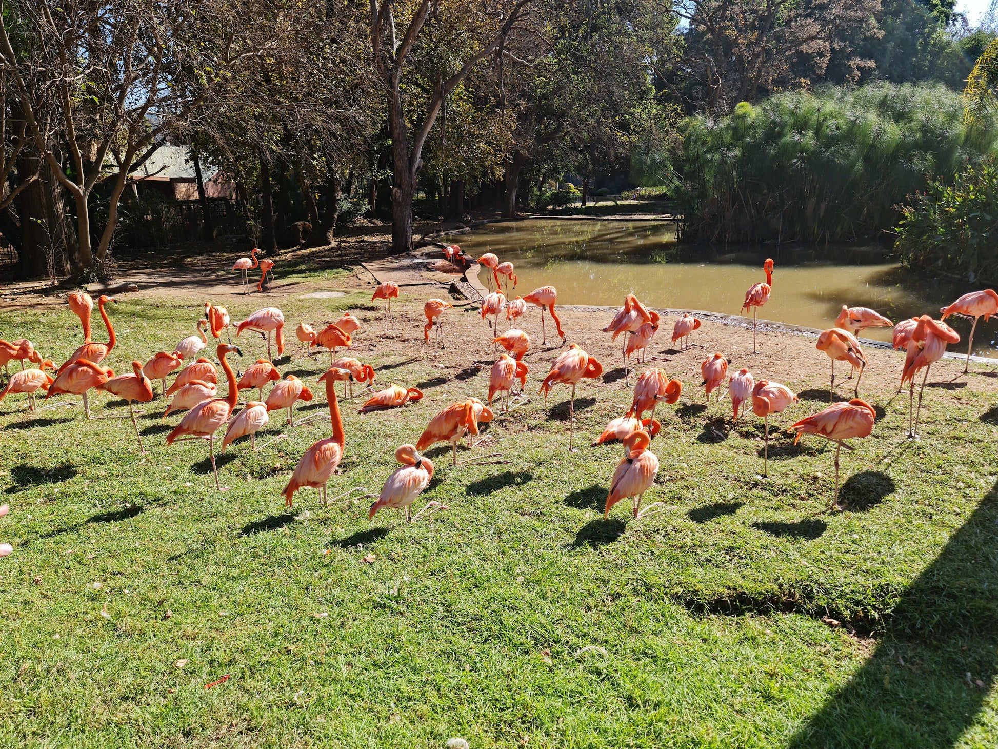  National Zoological Gardens of South Africa