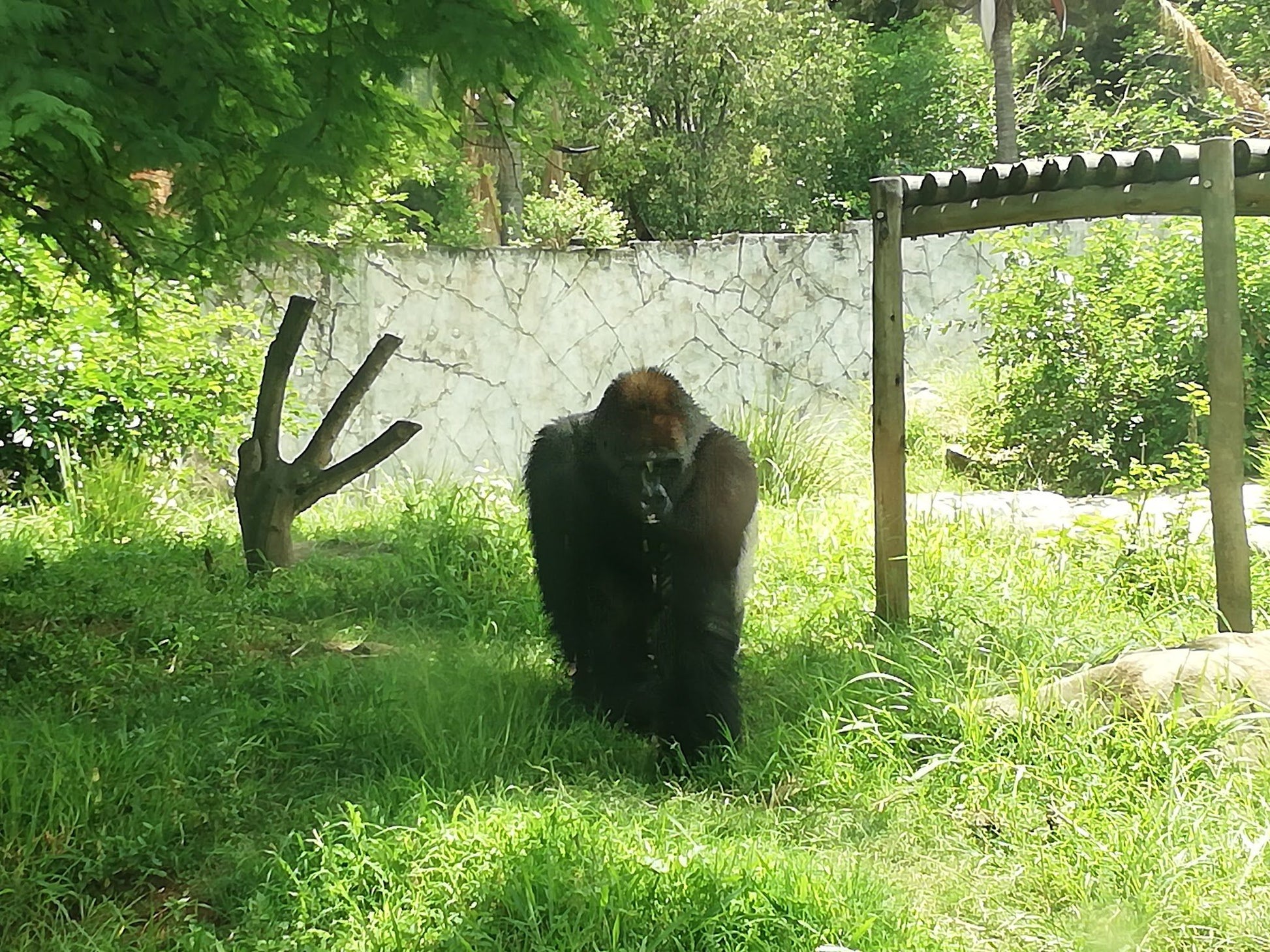  National Zoological Gardens of South Africa