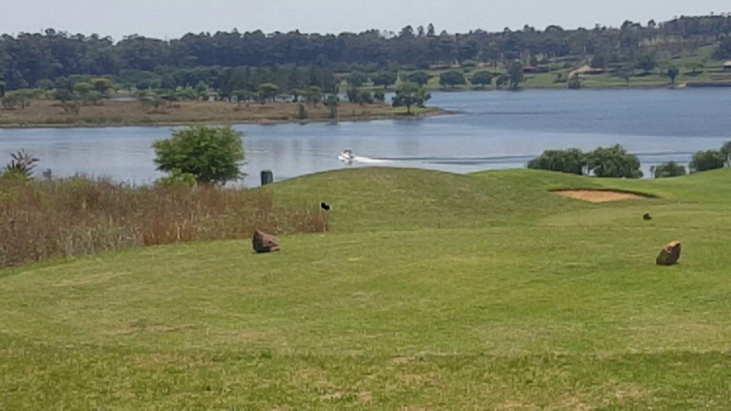 Nature, Ball Game, Sport, Golfing, Animal, Bird, Waters, Lake, Bankenveld Golf Club, Bankenveld Golf Club, Doornpoort AH 312-Js, Emalahleni, 1035