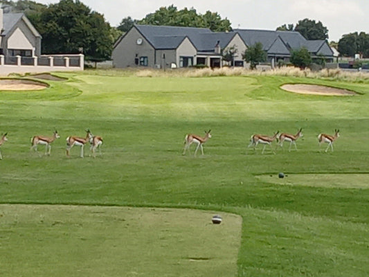 Nature, Ball Game, Sport, Golfing, Animal, Mammal, Herbivore, Meadow, Deer, Heron Banks Golf Course, Minnaar St, Vaalpark, Sasolburg, 1948