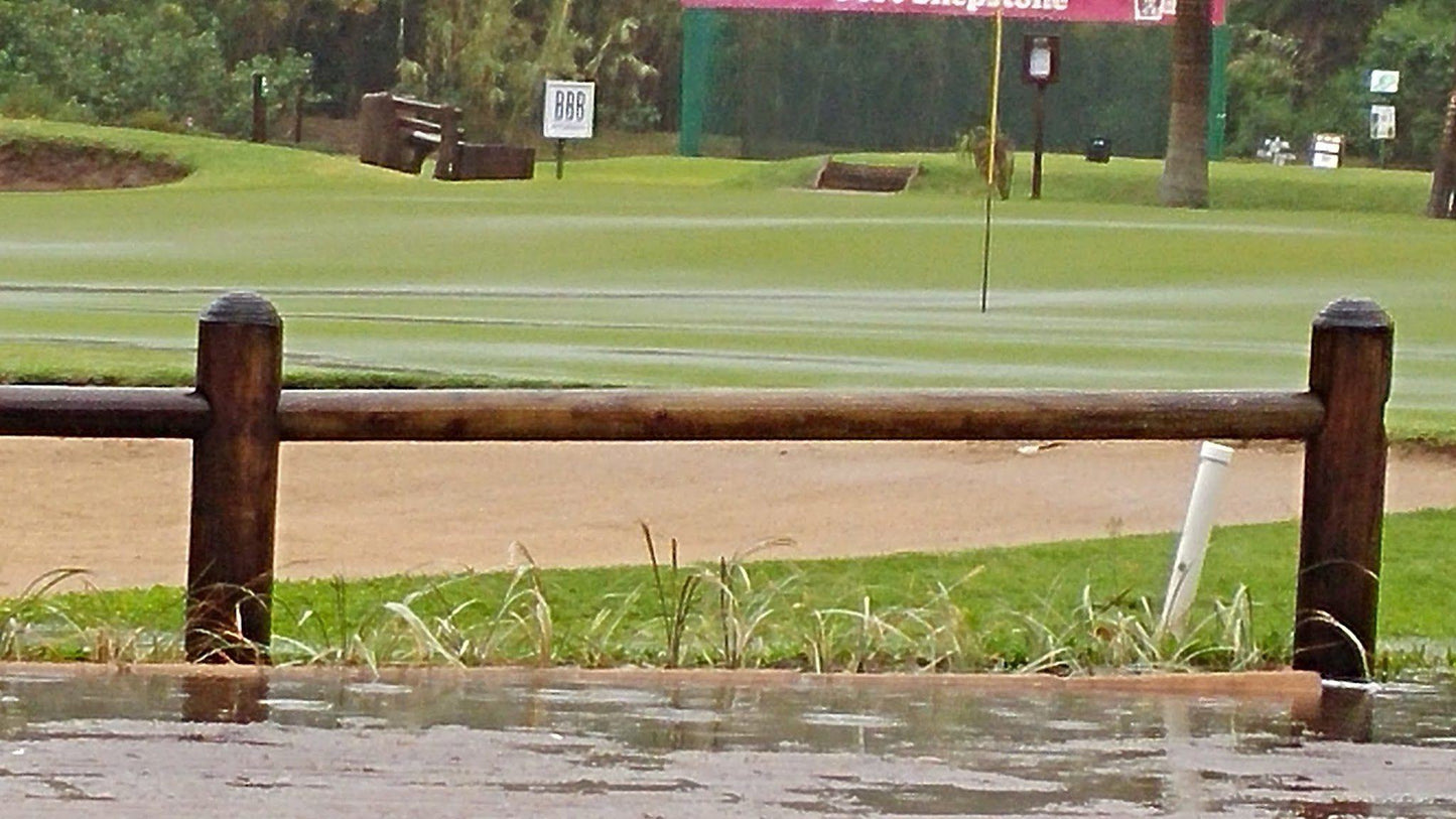 Nature, Ball Game, Sport, Golfing, Animal, Waters, Predator, Reptile, River, Rain, Crocodile, Port Shepstone Country Club, R102, Umtentweni, Port Shepstone, 4240