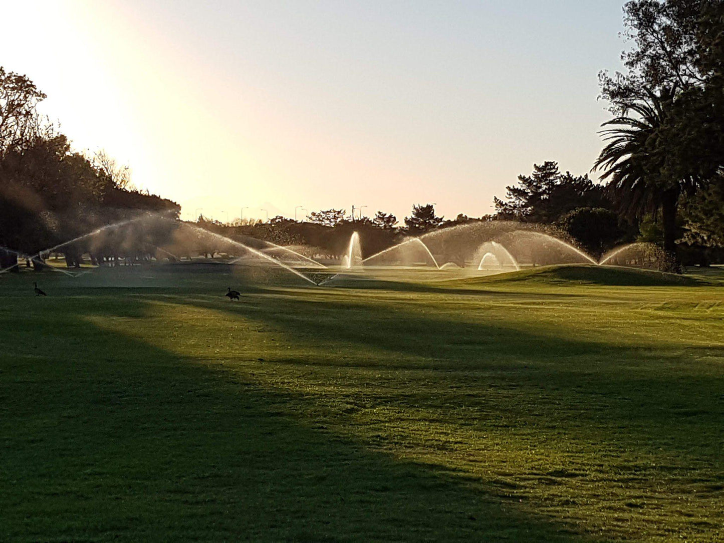 Nature, Ball Game, Sport, Golfing, Architecture, Plant, Garden, Fountain, King David Mowbray Golf Club, Raapenberg Rd, Mowbray, Cape Town, 7450