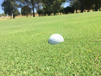 Nature, Ball Game, Sport, Golfing, Ball, Lowland, Koffiefontein Golf Club, Koffiefontein, 9986