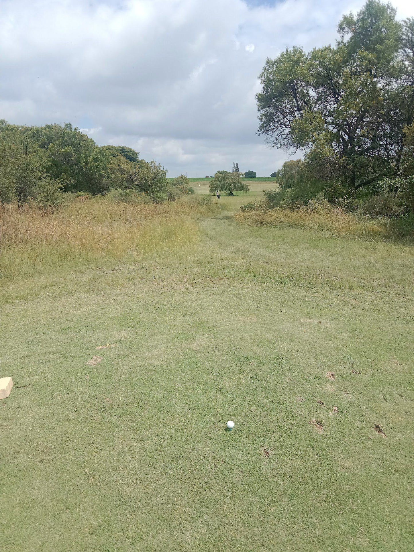 Nature, Ball Game, Sport, Golfing, Ball, Lowland, Koster Golfklub, Petisie Street, Koster, 0348