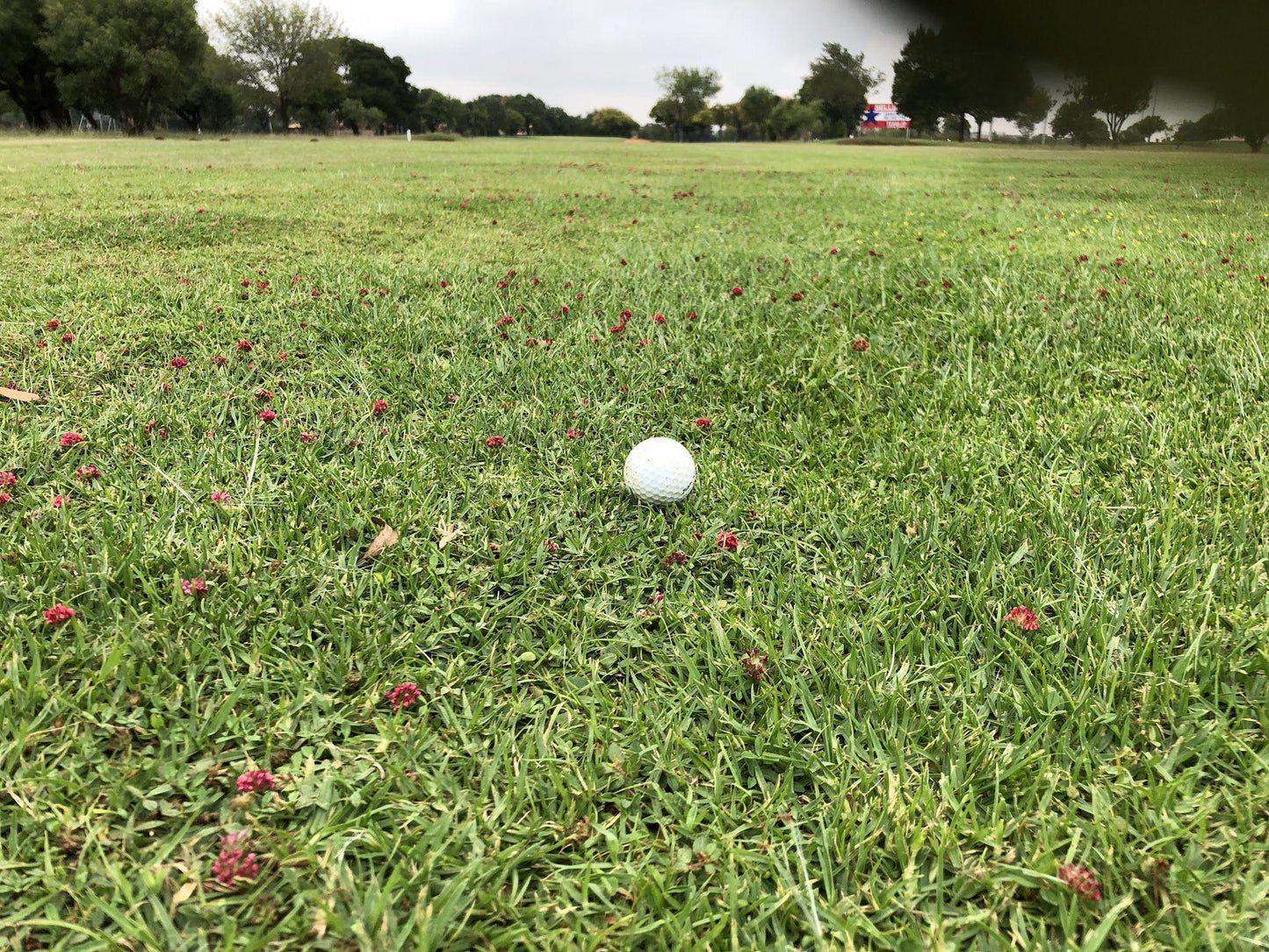 Nature, Ball Game, Sport, Golfing, Ball, Meadow, Avion Park Golf Club, 123 Highveld Rd, Zuurfontein 33-Ir, Kempton Park, 1620