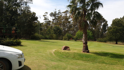 Nature, Ball Game, Sport, Golfing, Car, Vehicle, Palm Tree, Plant, Wood, Riversonderend Golf Club, Hoof Road, Riviersonderend, 7250