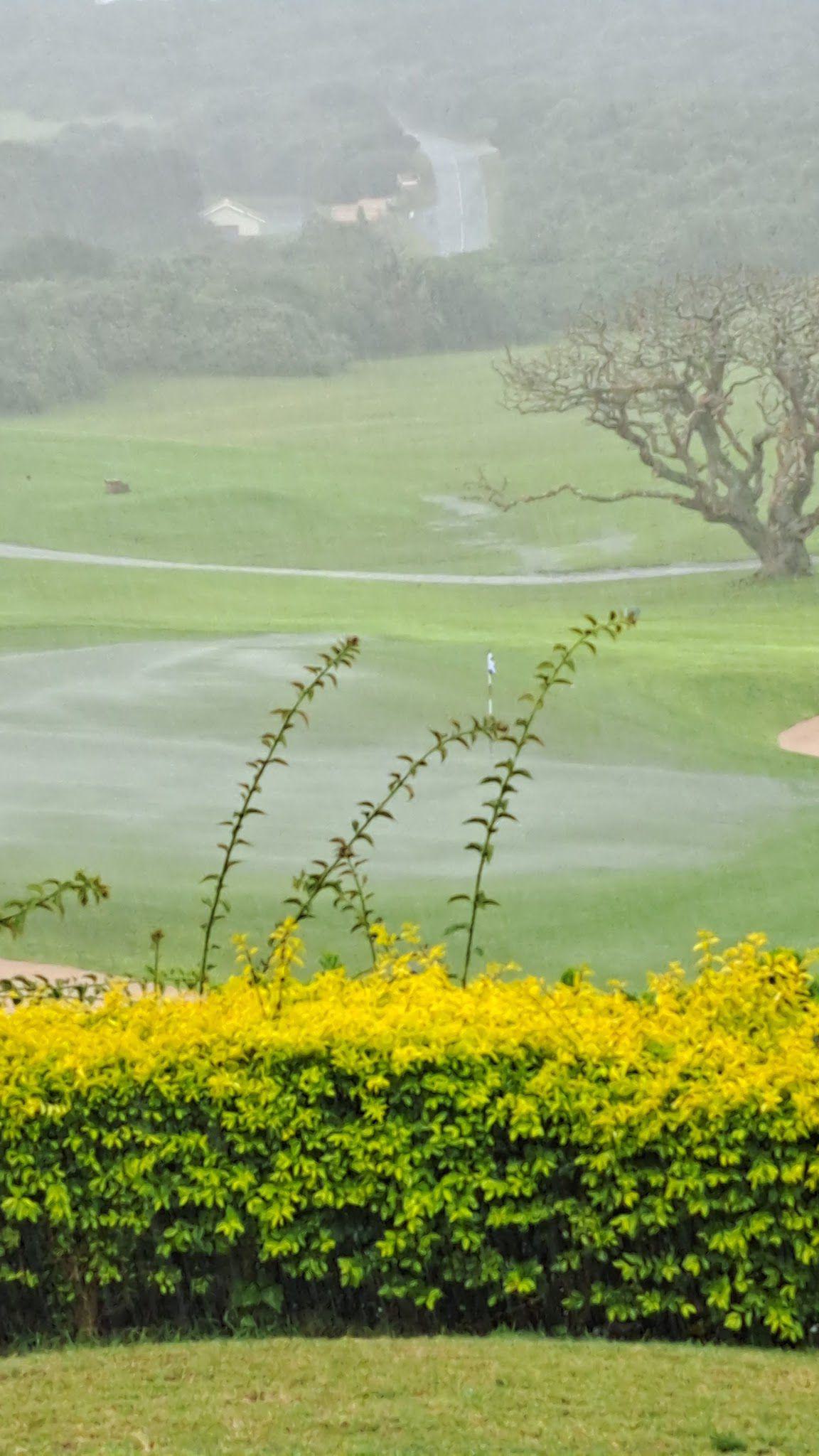 Nature, Ball Game, Sport, Golfing, Field, Agriculture, East London Golf Club, 22 Gleneagles Upper Rd, Bunkers Hill, East London, 5241