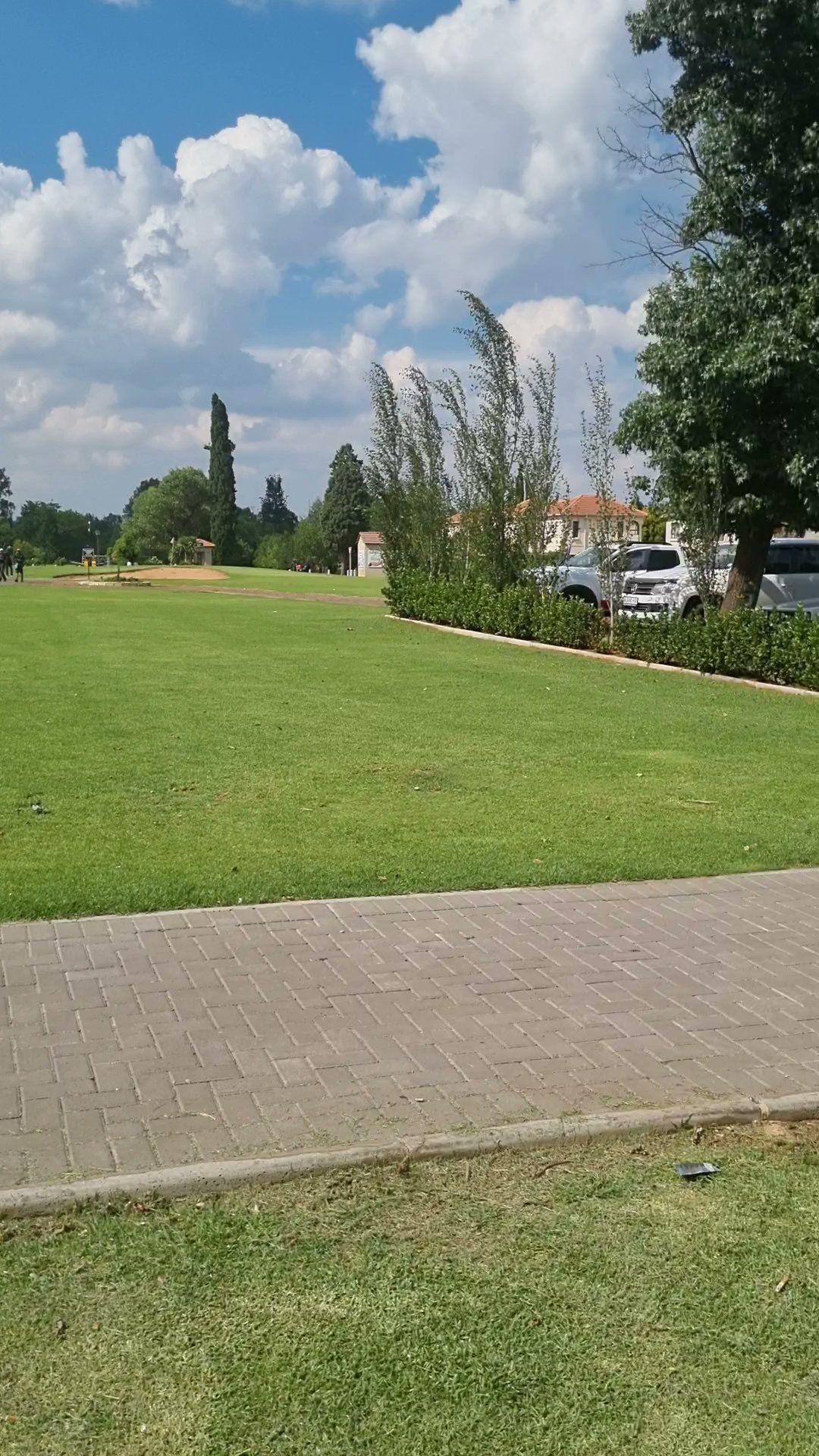 Nature, Ball Game, Sport, Golfing, House, Building, Architecture, Palm Tree, Plant, Wood, Street, Emfuleni Golf Estate, 1 Cherry St, Vanderbijlpark S. W. 5, Vanderbijlpark, 1911