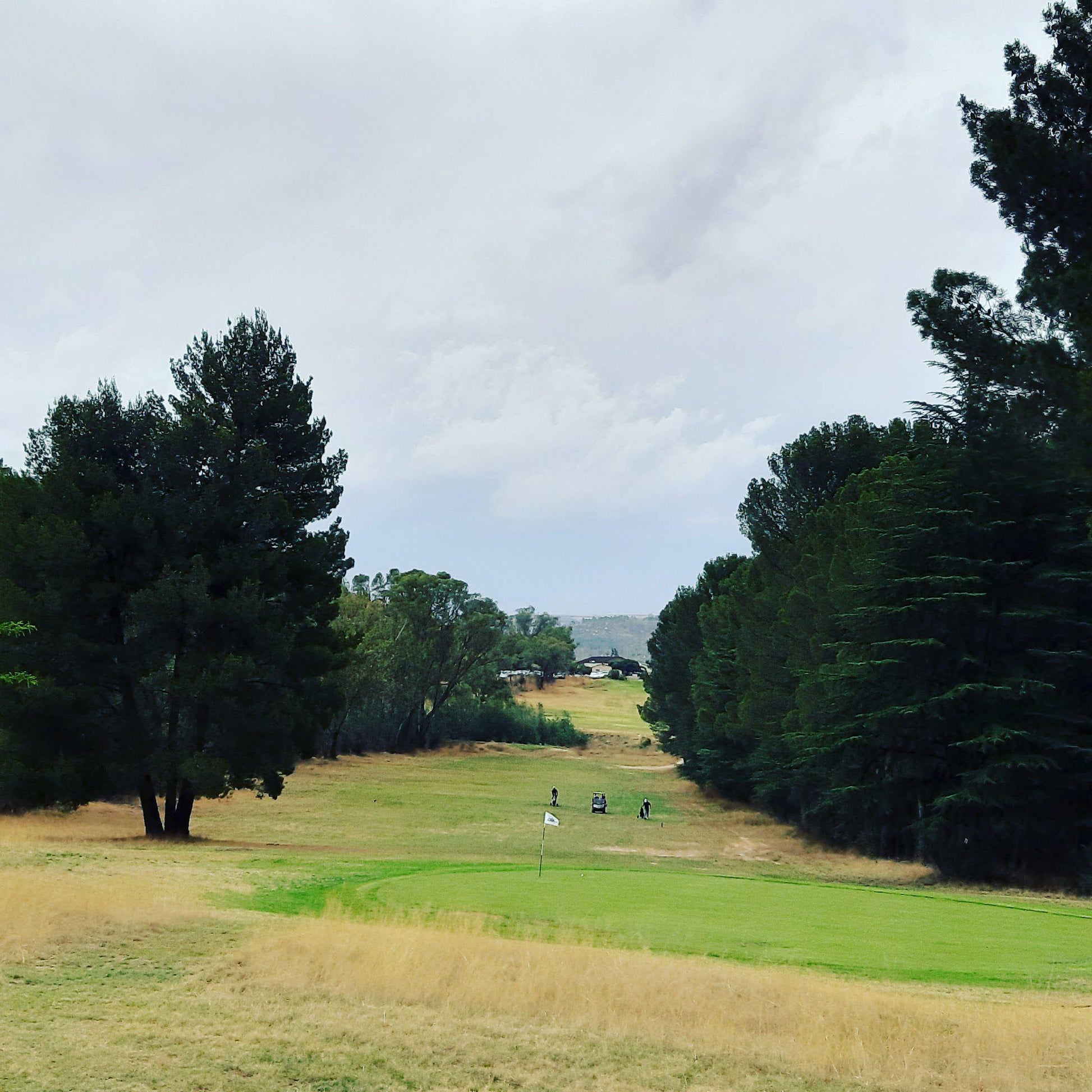 Nature, Ball Game, Sport, Golfing, Ladybrand Country Club, Loop St, Ladybrand, 9745