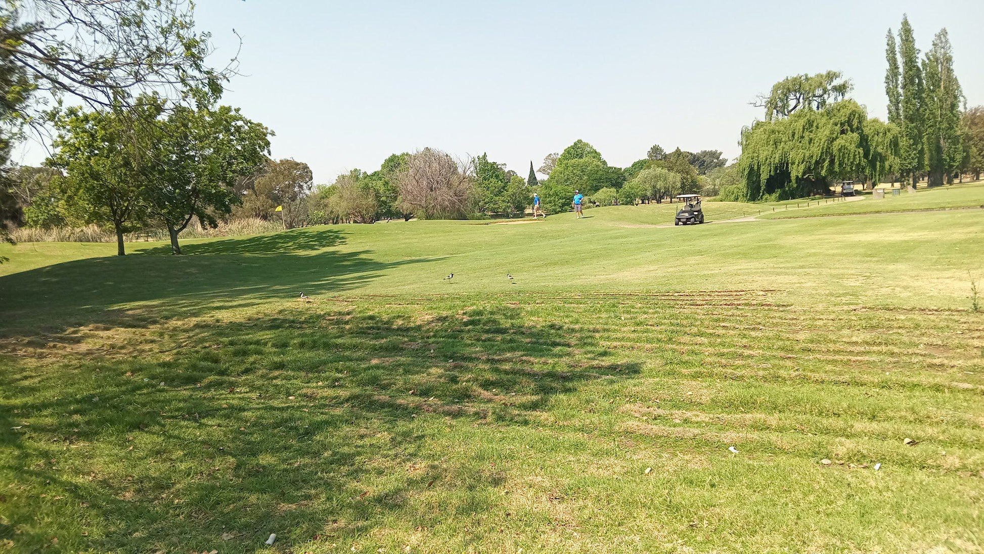 Nature, Ball Game, Sport, Golfing, Lowland, ERPM Golf, 85 Pretoria Rd, Boksburg West, Boksburg, 1459