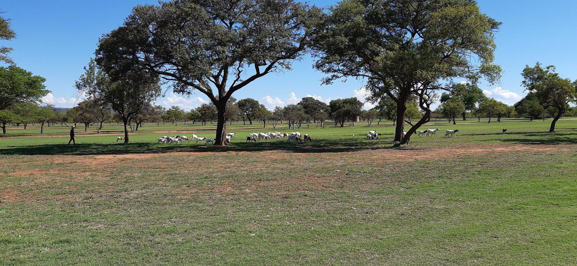 Nature, Ball Game, Sport, Golfing, Lowland, Groblersdal Golf Club, Voortrekker St, Groblersdal, 0470