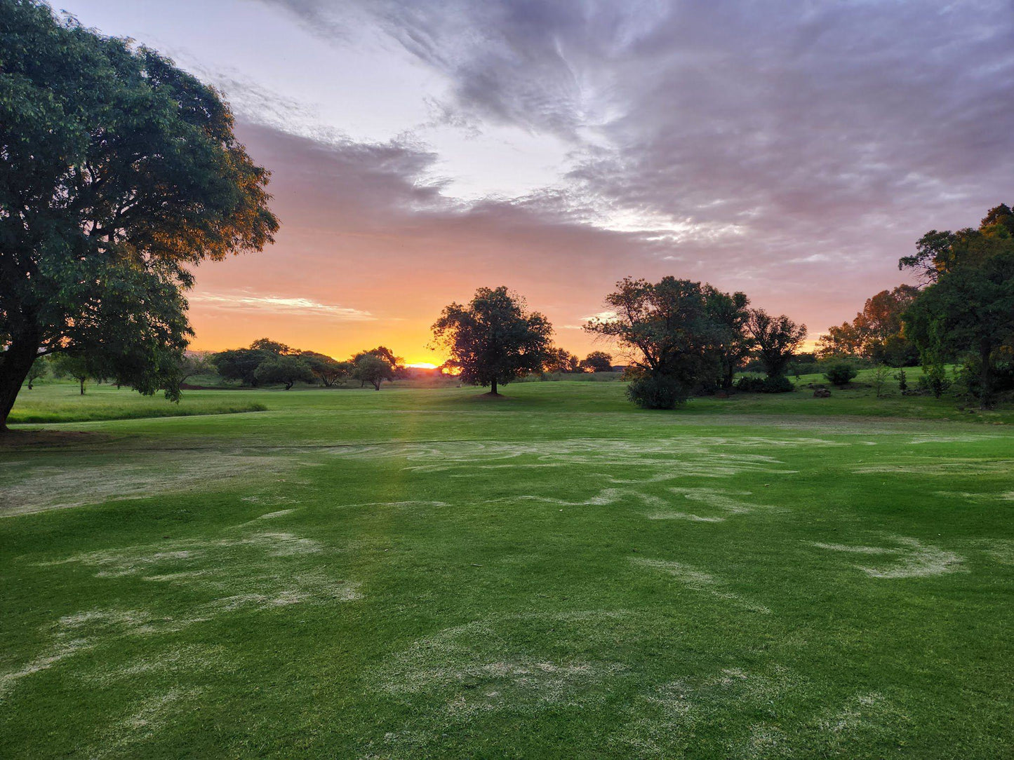 Nature, Ball Game, Sport, Golfing, Lowland, Pretoria Golf Club, Morkel St E, Philip Nel Park, Pretoria, 0029