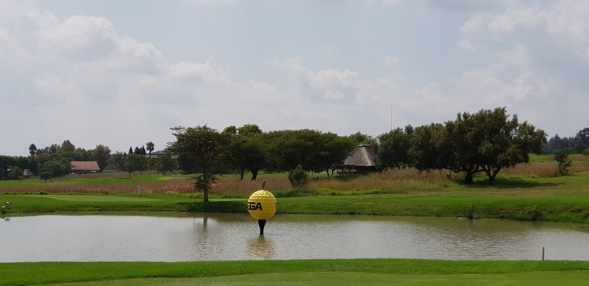 Nature, Ball Game, Sport, Golfing, Lowland, Ruimsig Country Club, Hole-In-One Ave, Ruimsig, Roodepoort, 1732