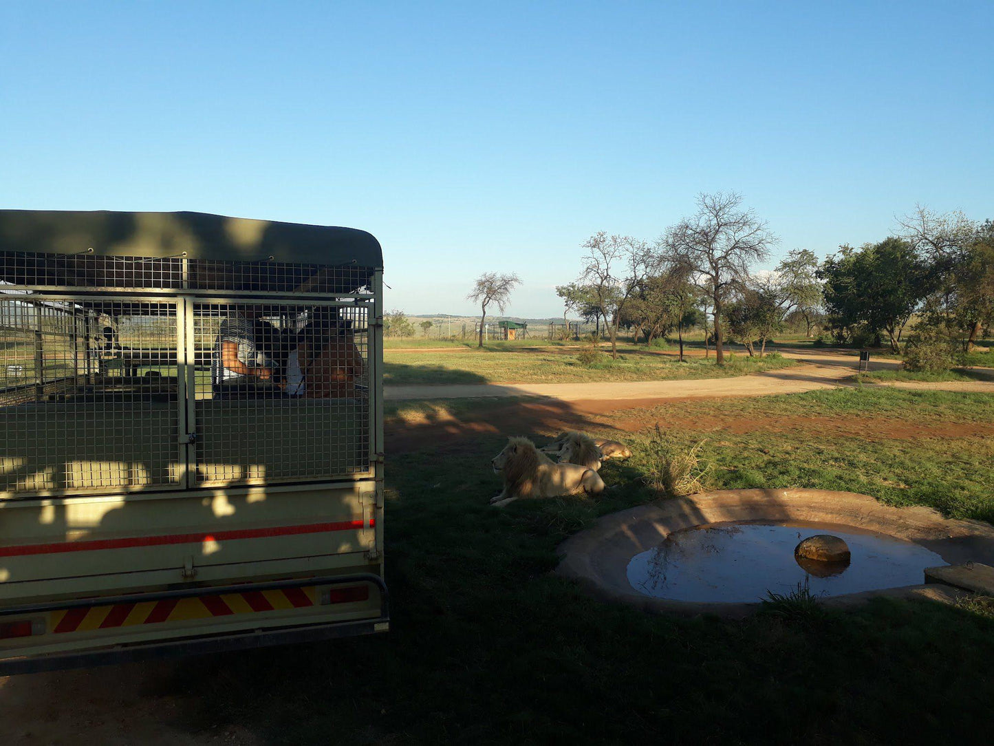 Nature, Ball Game, Sport, Golfing, Lowland, Rustenburg Golf Course, Bethlehem St, Rustenburg, 2999