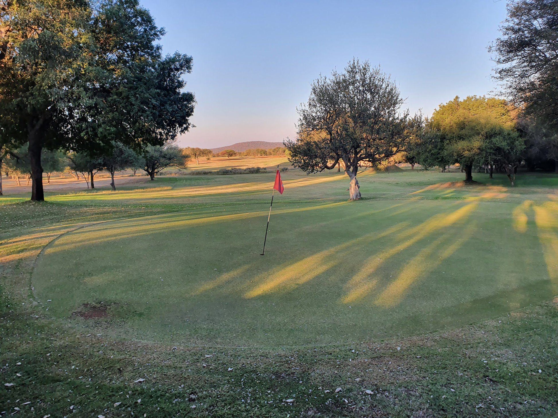 Nature, Ball Game, Sport, Golfing, Lowland, Sesambos Golf Course, Bochum