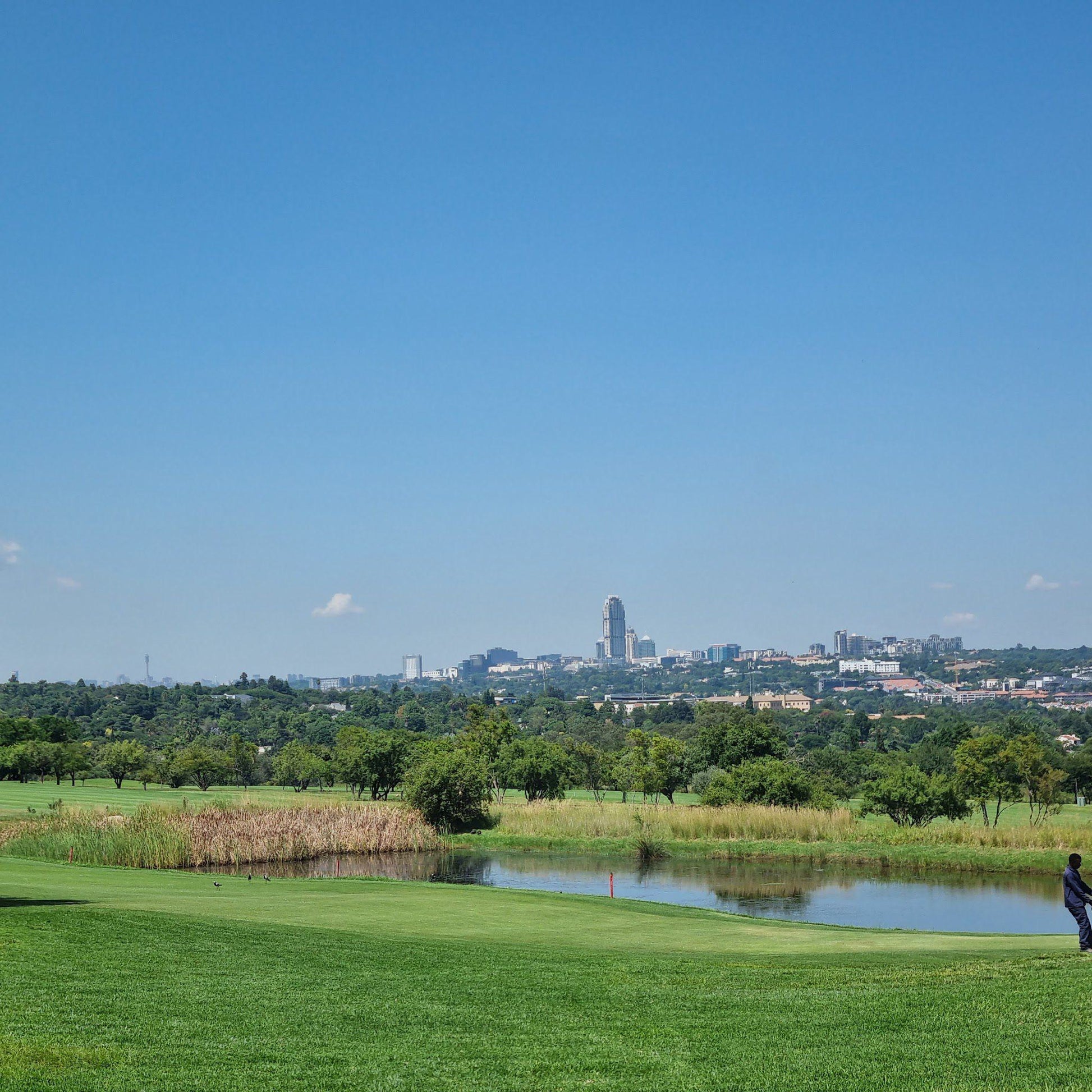 Nature, Ball Game, Sport, Golfing, Lowland, The Country Club Johannesburg, Woodmead, Lincoln St, Woodmead, Sandton, 2128