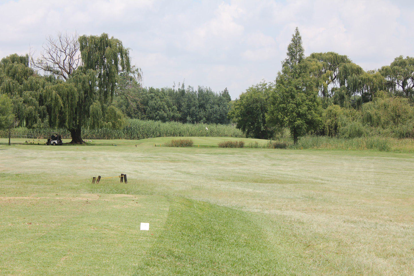 Nature, Ball Game, Sport, Golfing, Meadow, South Downs Club, 70 Albaster Ave, Mayfield Park, Johannesburg South, 2091