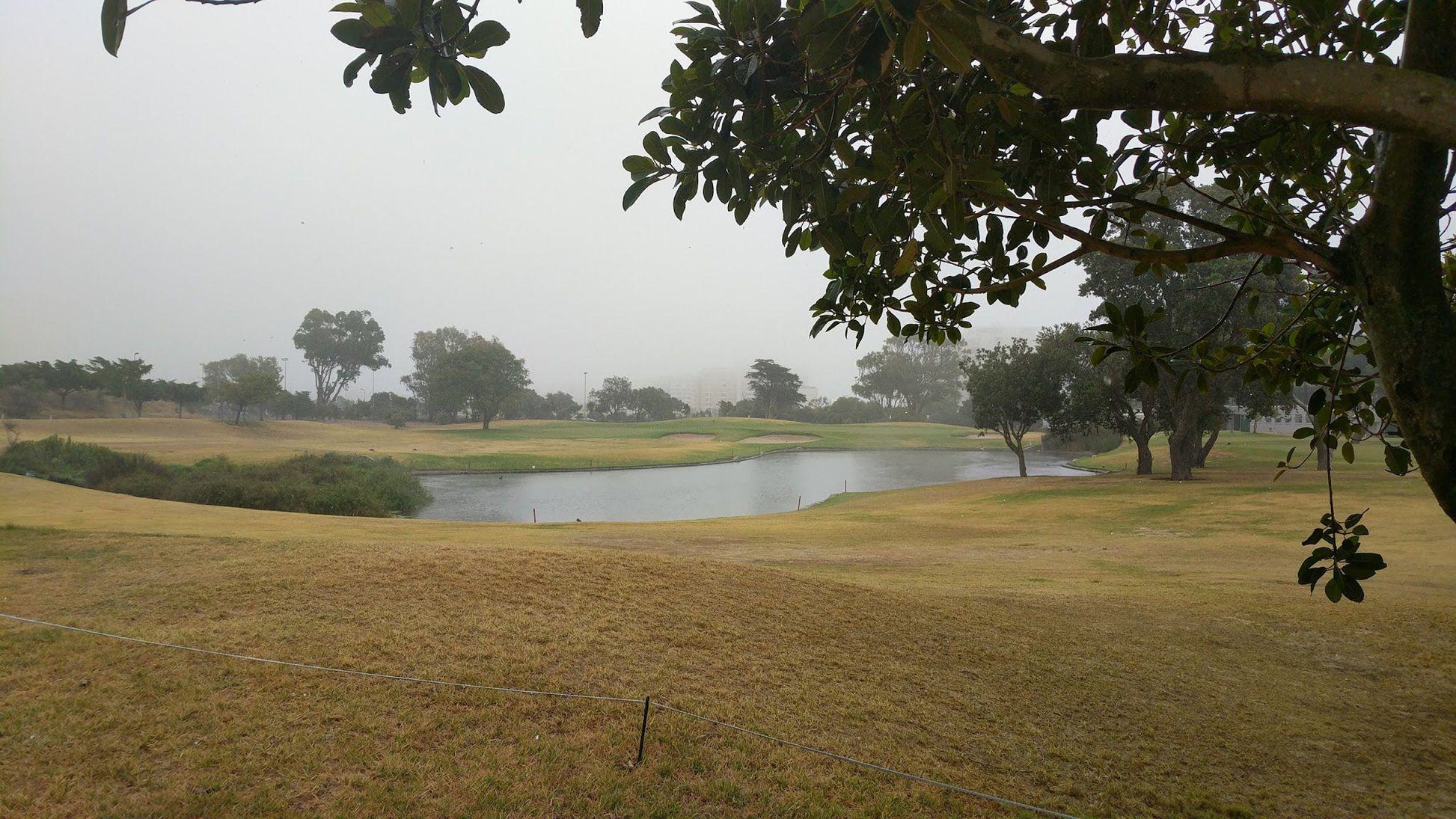 Nature, Ball Game, Sport, Golfing, Metropolitan Golf Club, Fritz Sonnenberg Rd, Green Point, Cape Town, 8051