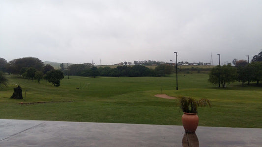 Nature, Ball Game, Sport, Golfing, Palm Tree, Plant, Wood, Amatikulu Country Club, Amatikulu