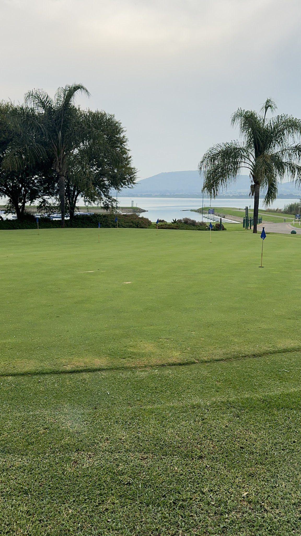 Nature, Ball Game, Sport, Golfing, Palm Tree, Plant, Wood, Beach, Sand, Sandy Lane Golf Club, 7 Simon Bekker Ave, Kosmos, Hartbeespoort, 0261