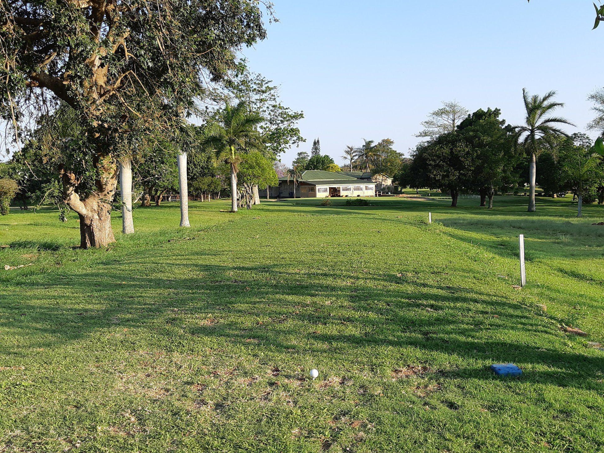 Nature, Ball Game, Sport, Golfing, Palm Tree, Plant, Wood, Cemetery, Religion, Grave, Kwambonambi Golf Club, S28 35.981 E32 04.731