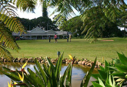 Nature, Ball Game, Sport, Golfing, Palm Tree, Plant, Wood, Eshowe Hills Eco & Golf Estate, Hime Street, Eshowe, 3815