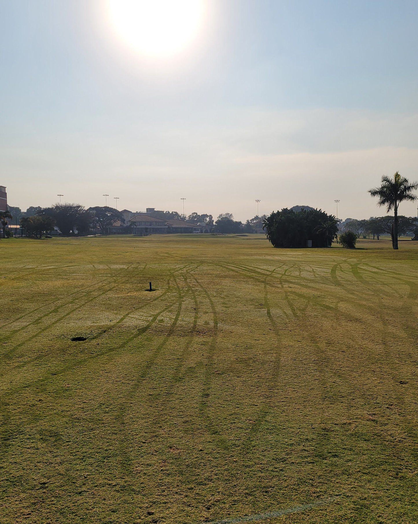 Nature, Ball Game, Sport, Golfing, Palm Tree, Plant, Wood, Field, Agriculture, Lowland, Royal Durban Golf Club, 7 Mitchell Cres, Greyville, Durban, 4001